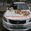 xe hoa trai tim rong trang do - dau xe.jpg